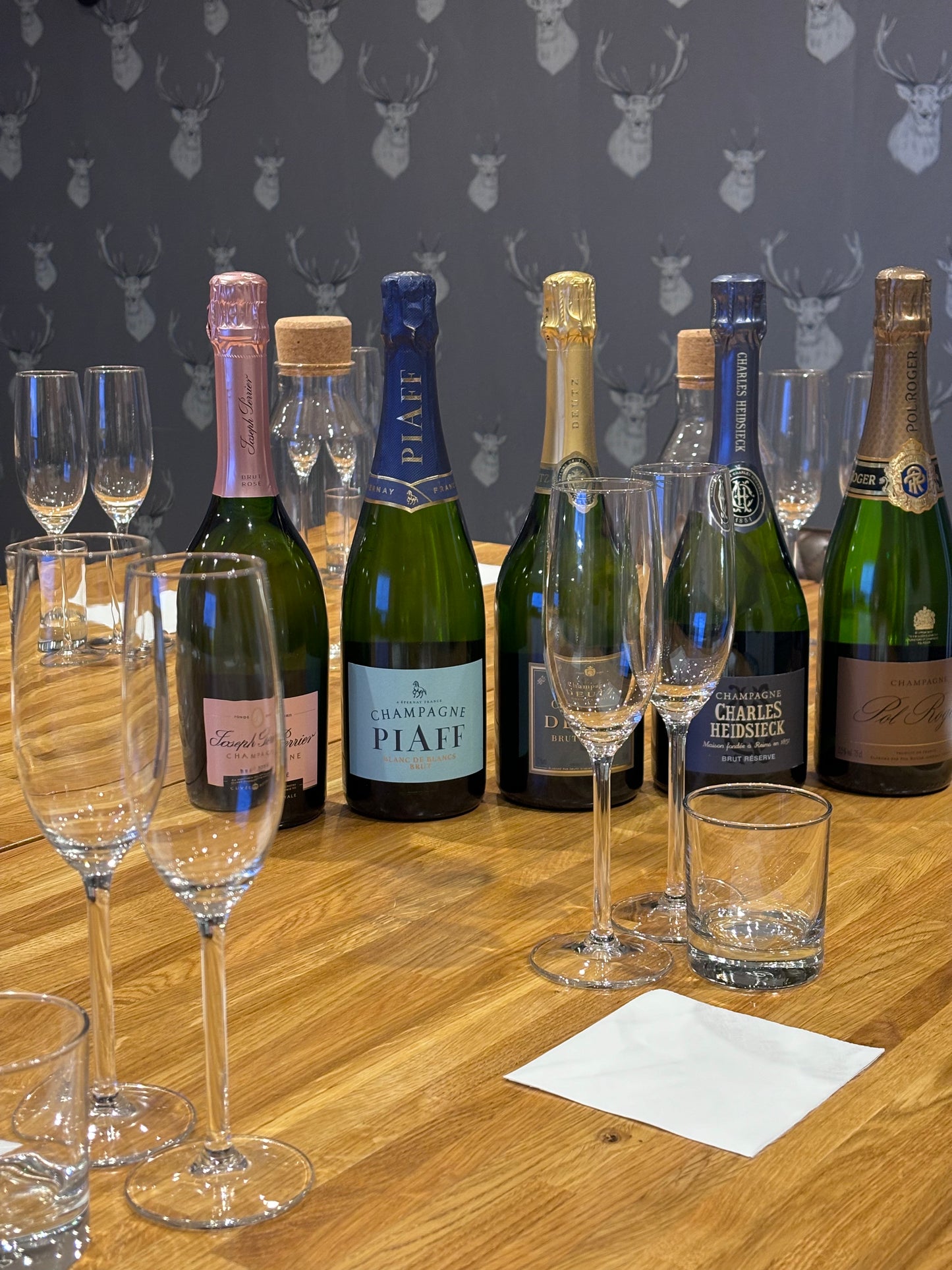 Bubbles, Besties, and Ballads! 🥂✨