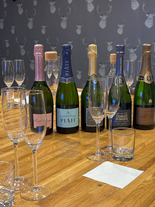 Bubbles, Besties, and Ballads! 🥂✨