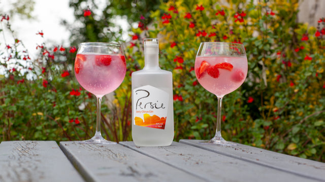 🍸 The Persie Gin Experience at The Chaumer - 20th June